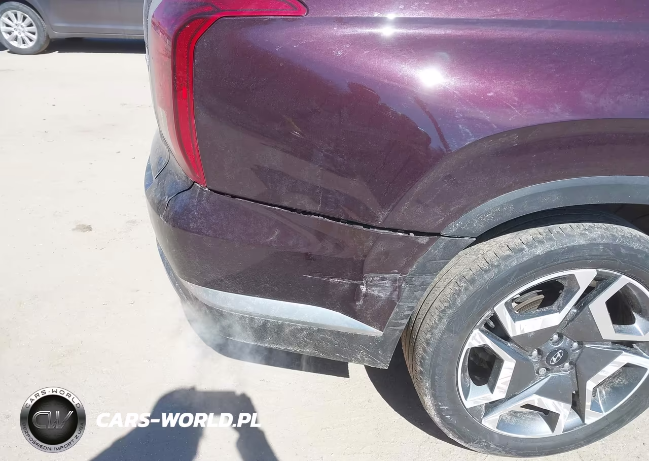 2024 Hyundai Palisade Limited VIN:KM8R5DGE9RU701042 - 6