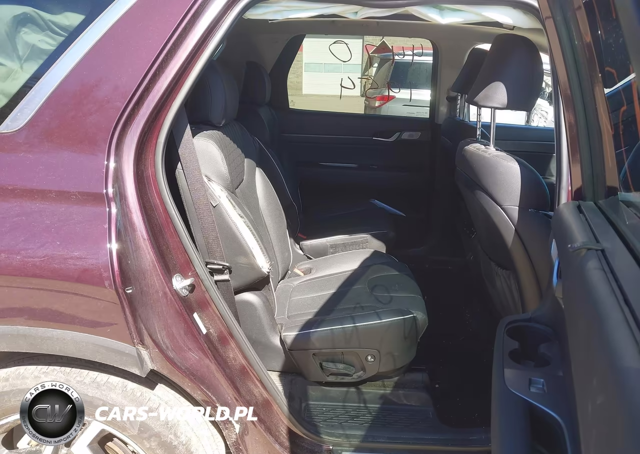 2024 Hyundai Palisade Limited VIN:KM8R5DGE9RU701042 - 8