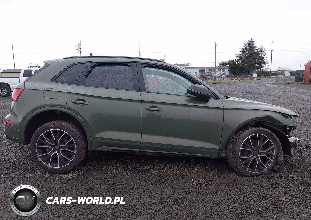 2024 Audi Sq5 Premium Plus Tfsi Quattro Tiptronic VIN:WA1B4AFY8R2119054 - 13