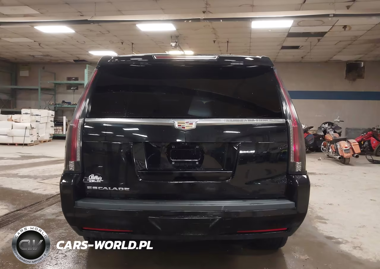 2020 Cadillac Escalade 4Wd Luxury VIN:1GYS4BKJXLR127816 - 16