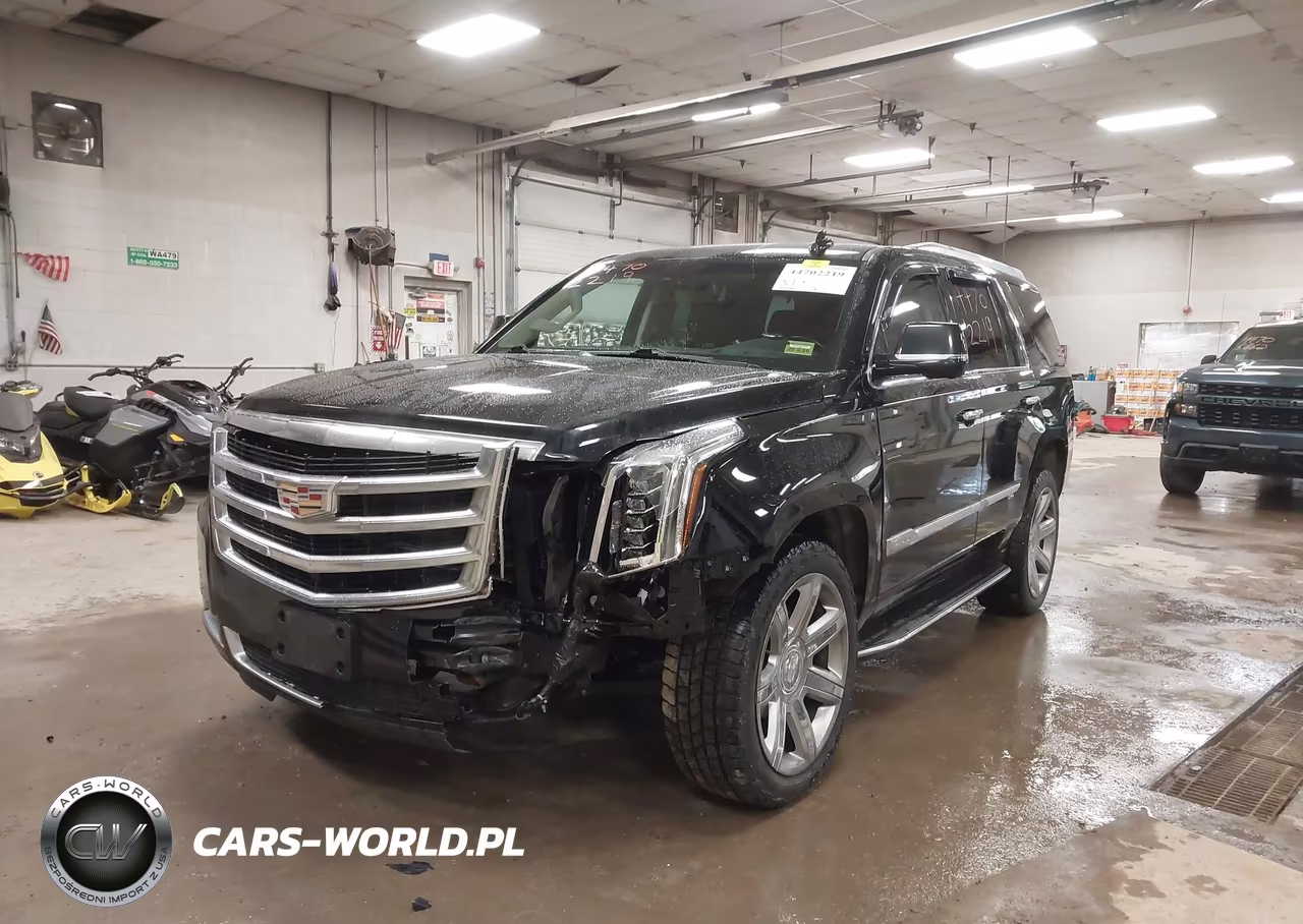 2020 Cadillac Escalade 4Wd Luxury VIN:1GYS4BKJXLR127816 - 2