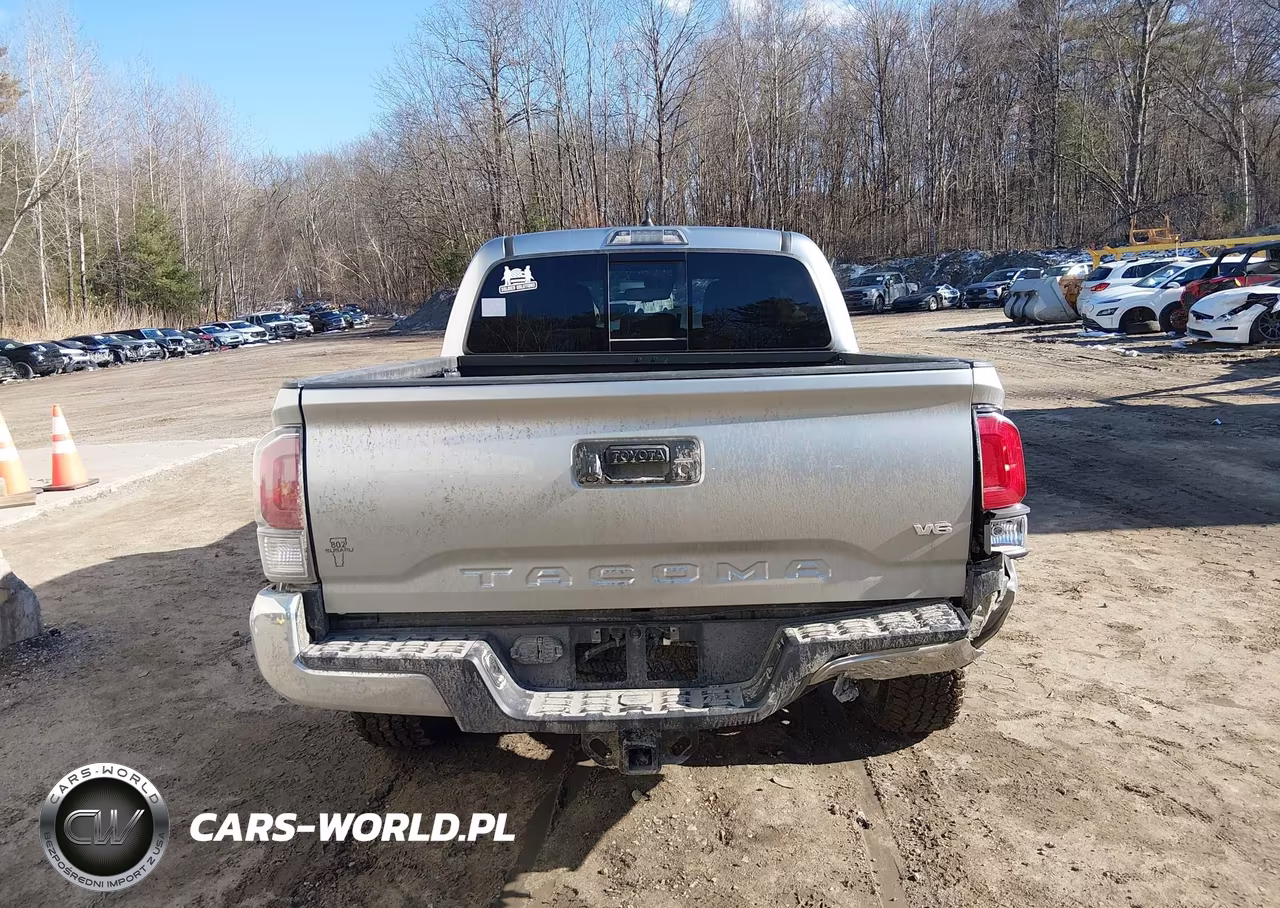 2023 Toyota Tacoma Trd Off Road VIN:3TMCZ5ANXPM593075 - 16