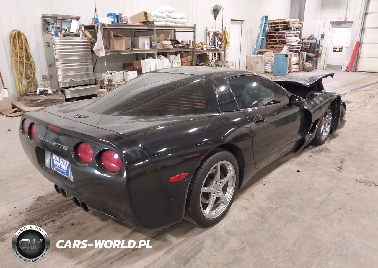 2000 Chevrolet Corvette VIN:1G1YY22G5Y5125049 - 4