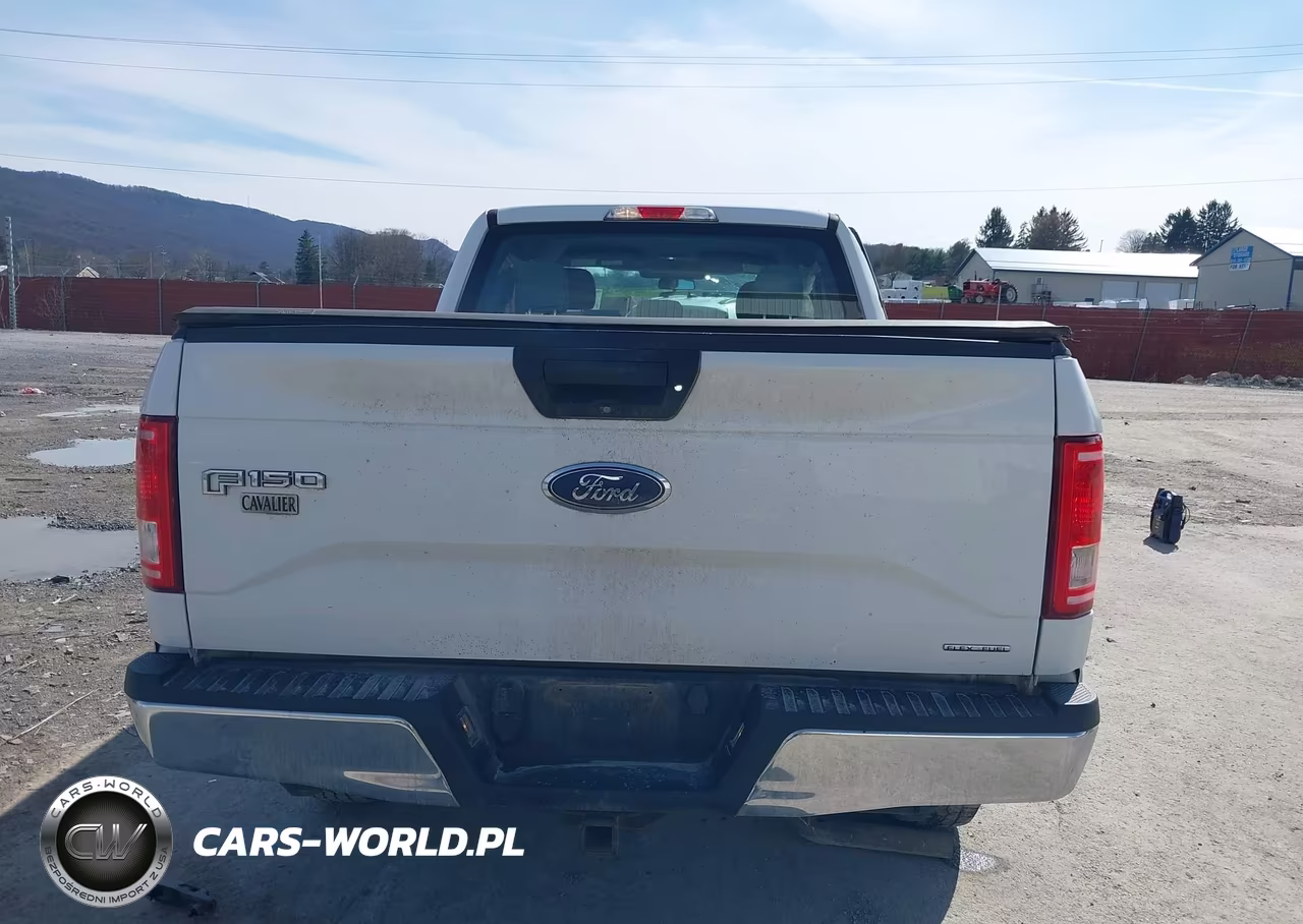 2016 Ford F-150 Xl VIN:1FTFX1EF3GFD15147 - 17