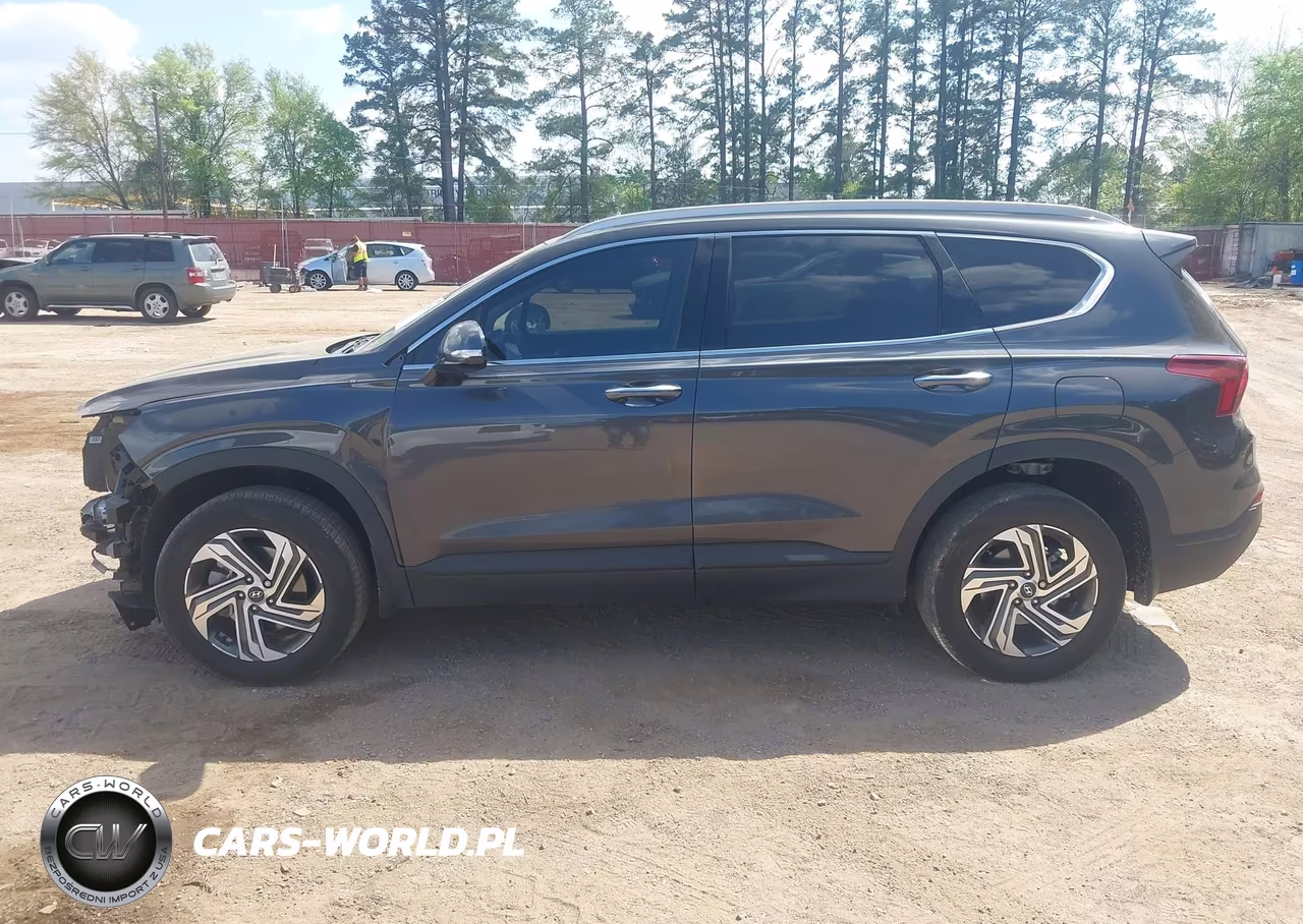 2023 Hyundai Santa Fe Sel VIN:5NMS2DAJ6PH537077 - 15