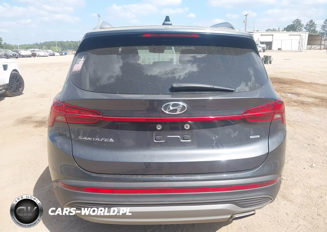 2023 Hyundai Santa Fe Sel VIN:5NMS2DAJ6PH537077 - 17