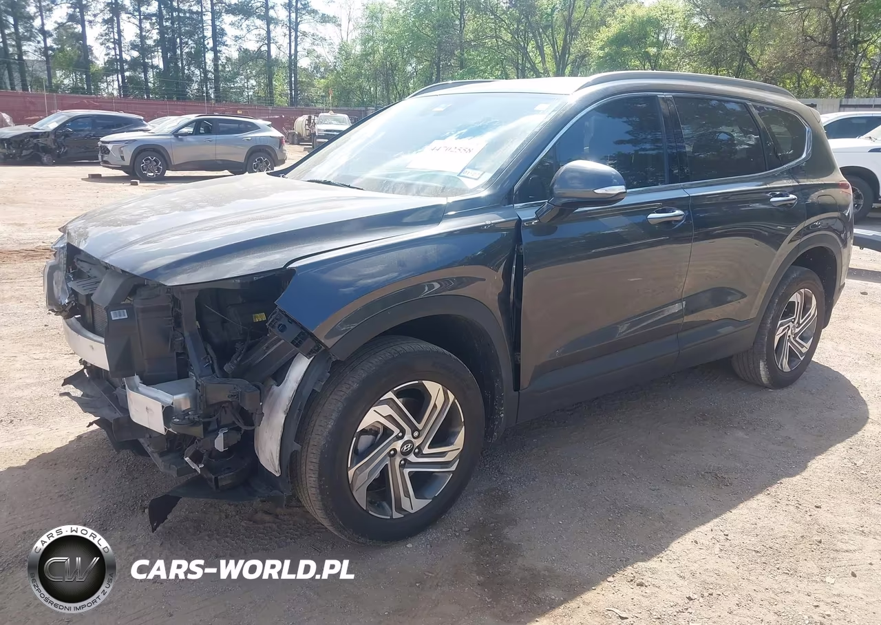 2023 Hyundai Santa Fe Sel VIN:5NMS2DAJ6PH537077 - 2