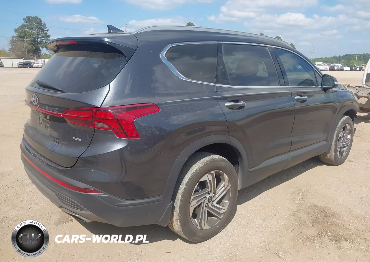 2023 Hyundai Santa Fe Sel VIN:5NMS2DAJ6PH537077 - 4