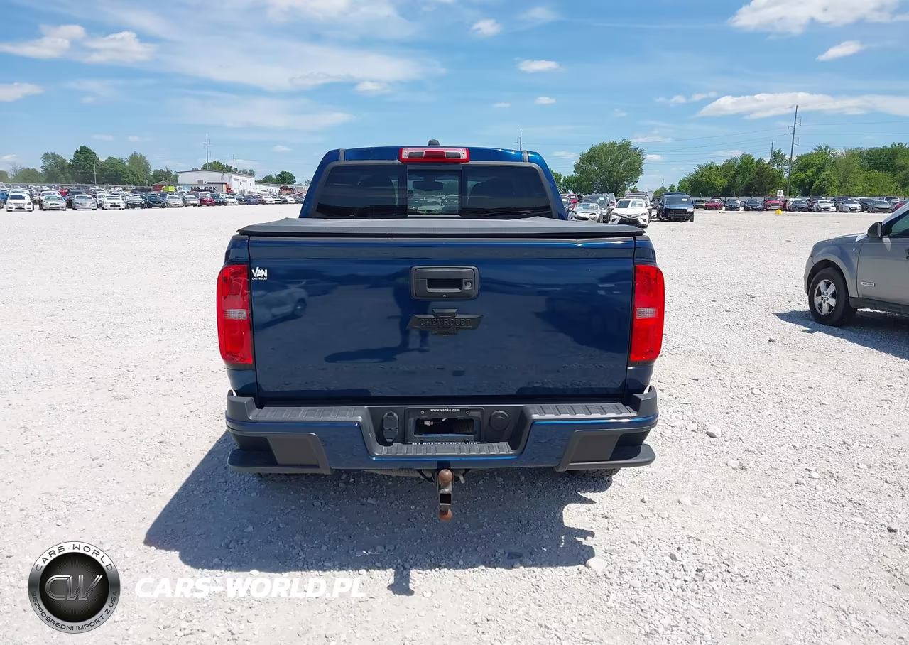 2019 Chevrolet Colorado Lt VIN:1GCGTCEN5K1110079 - 17