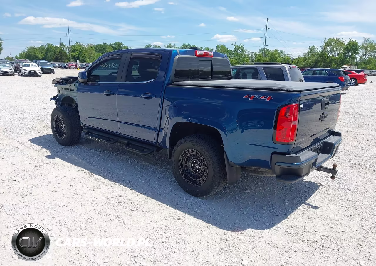 2019 Chevrolet Colorado Lt VIN:1GCGTCEN5K1110079 - 3