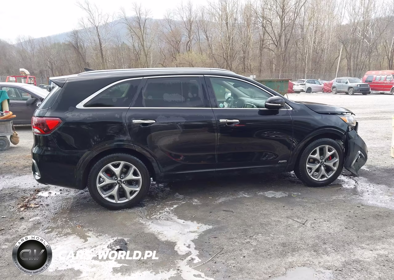 2019 Kia Sorento 3.3L Sx VIN:5XYPKDA52KG512219 - 12