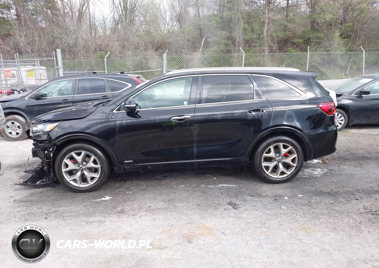 2019 Kia Sorento 3.3L Sx VIN:5XYPKDA52KG512219 - 13