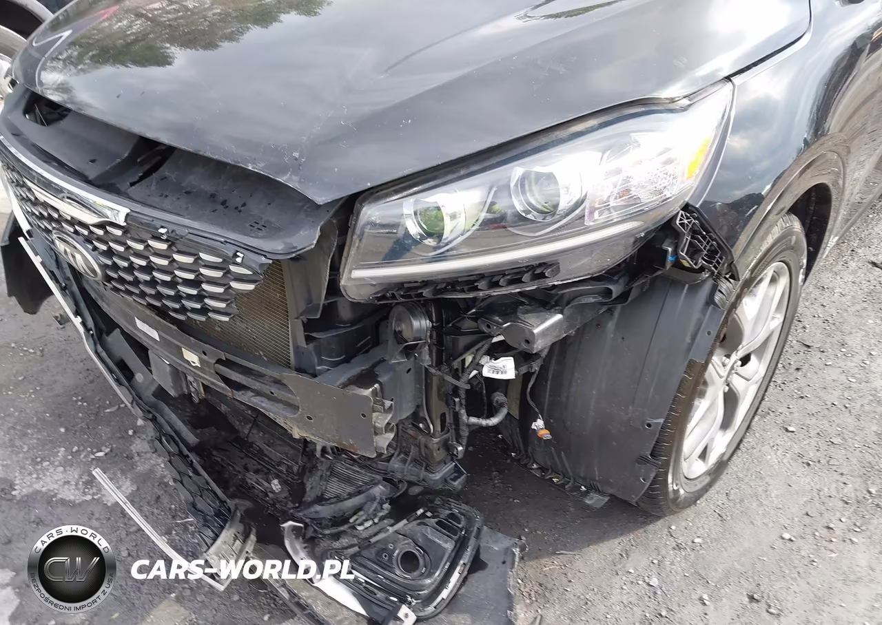 2019 Kia Sorento 3.3L Sx VIN:5XYPKDA52KG512219 - 16