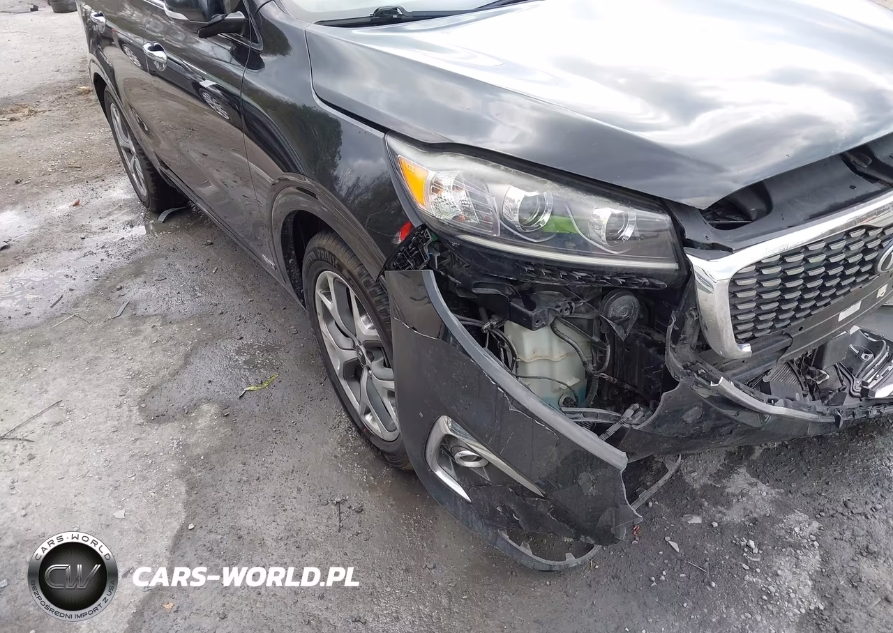 2019 Kia Sorento 3.3L Sx VIN:5XYPKDA52KG512219 - 17