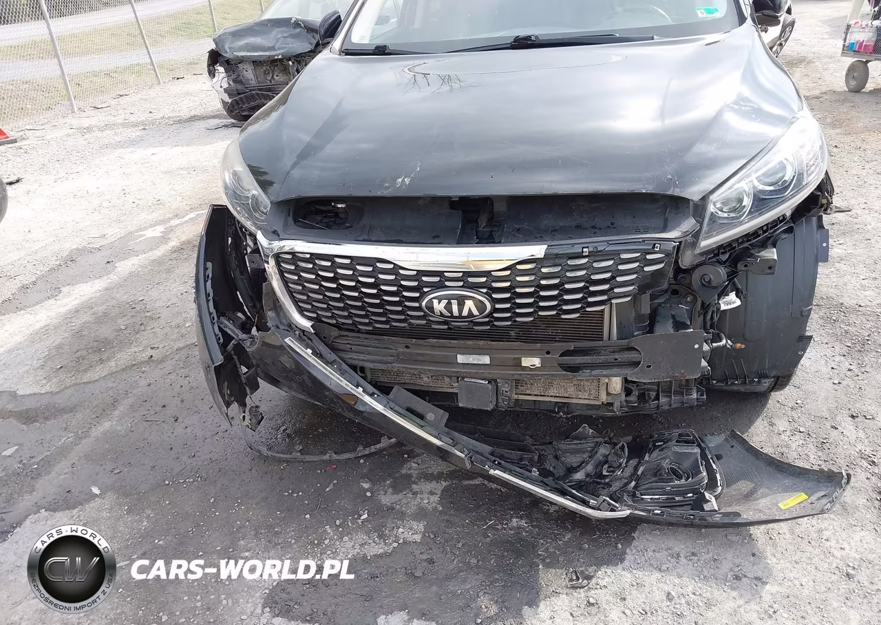 2019 Kia Sorento 3.3L Sx VIN:5XYPKDA52KG512219 - 6