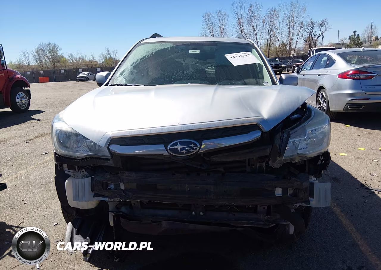 2017 Subaru Forester 2.5I Premium VIN:JF2SJAGC6HH577304 - 13