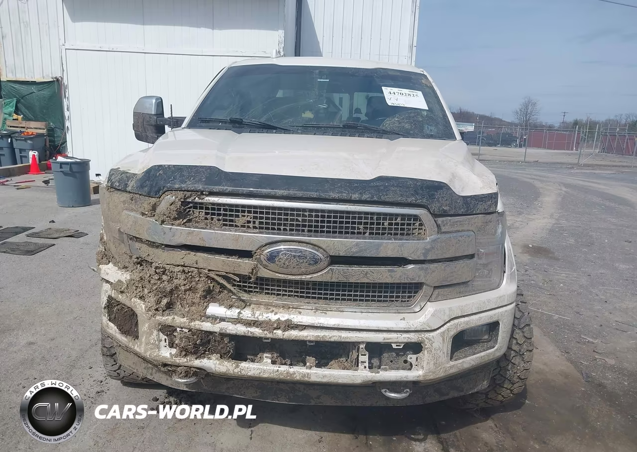 2018 Ford F-150 Platinum VIN:1FTEW1EG1JFC37059 - 12