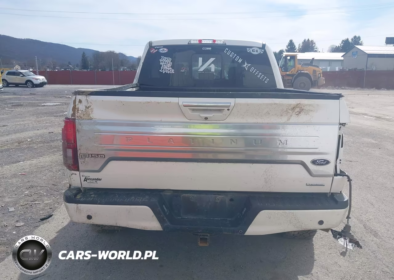 2018 Ford F-150 Platinum VIN:1FTEW1EG1JFC37059 - 16