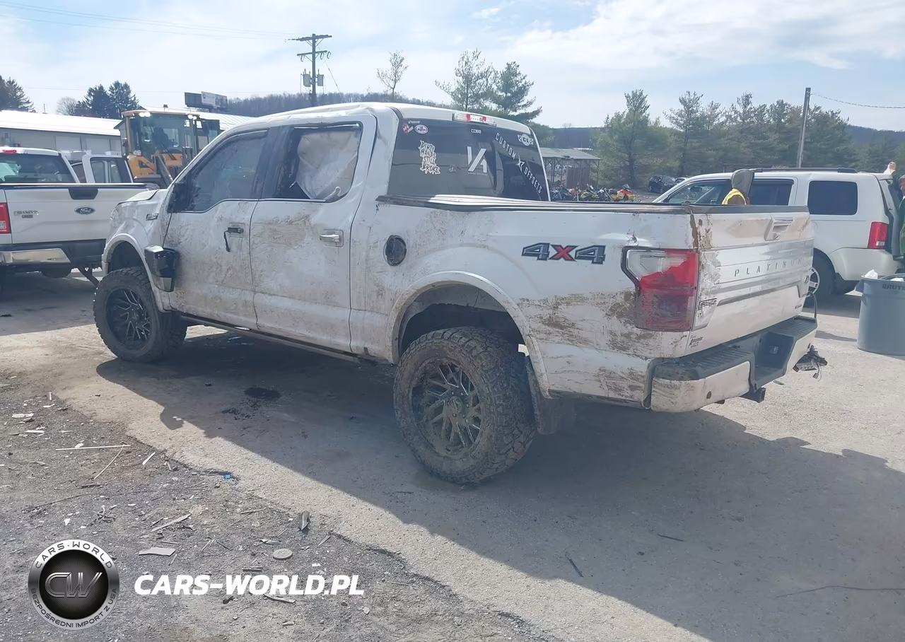 2018 Ford F-150 Platinum VIN:1FTEW1EG1JFC37059 - 3