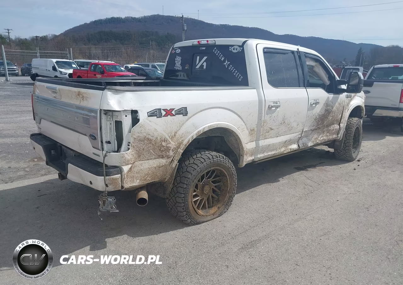 2018 Ford F-150 Platinum VIN:1FTEW1EG1JFC37059 - 4