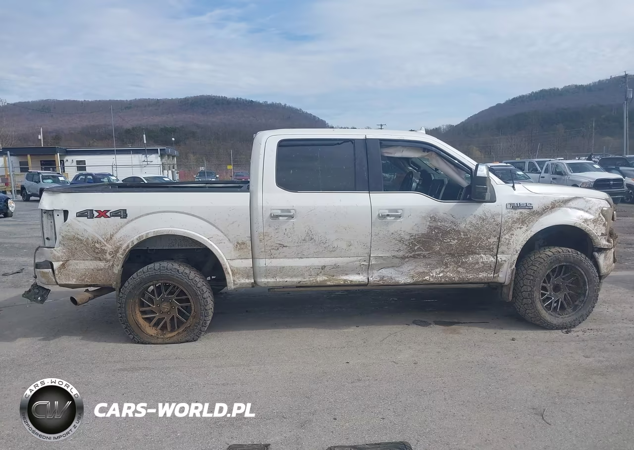 2018 Ford F-150 Platinum VIN:1FTEW1EG1JFC37059 - 6