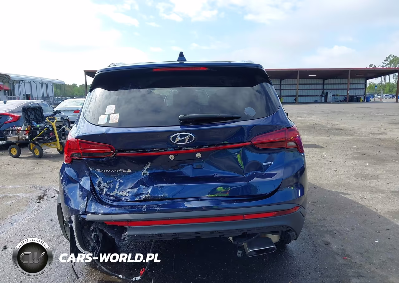 2021 Hyundai Santa Fe Se VIN:5NMS1DAJXMH362010 - 16