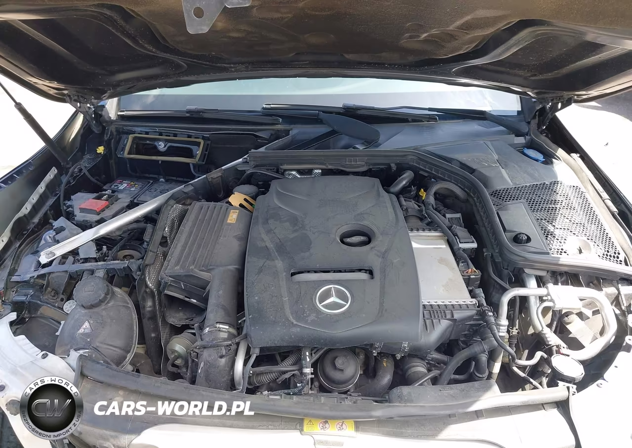 2017 Mercedes-Benz C 300 VIN:55SWF4JB3HU200396 - 10