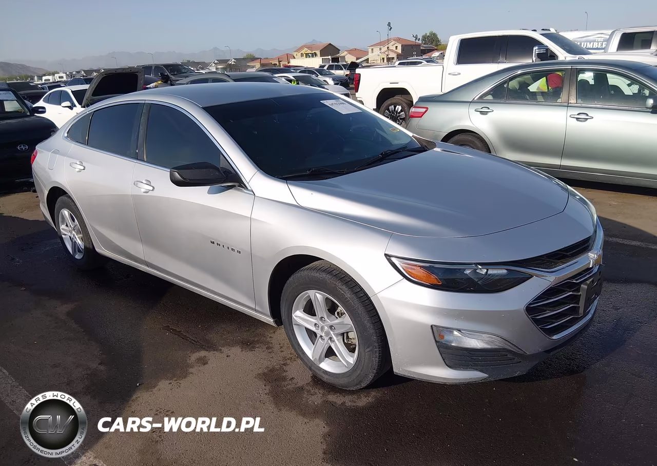 2019 Chevrolet Malibu 1Fl