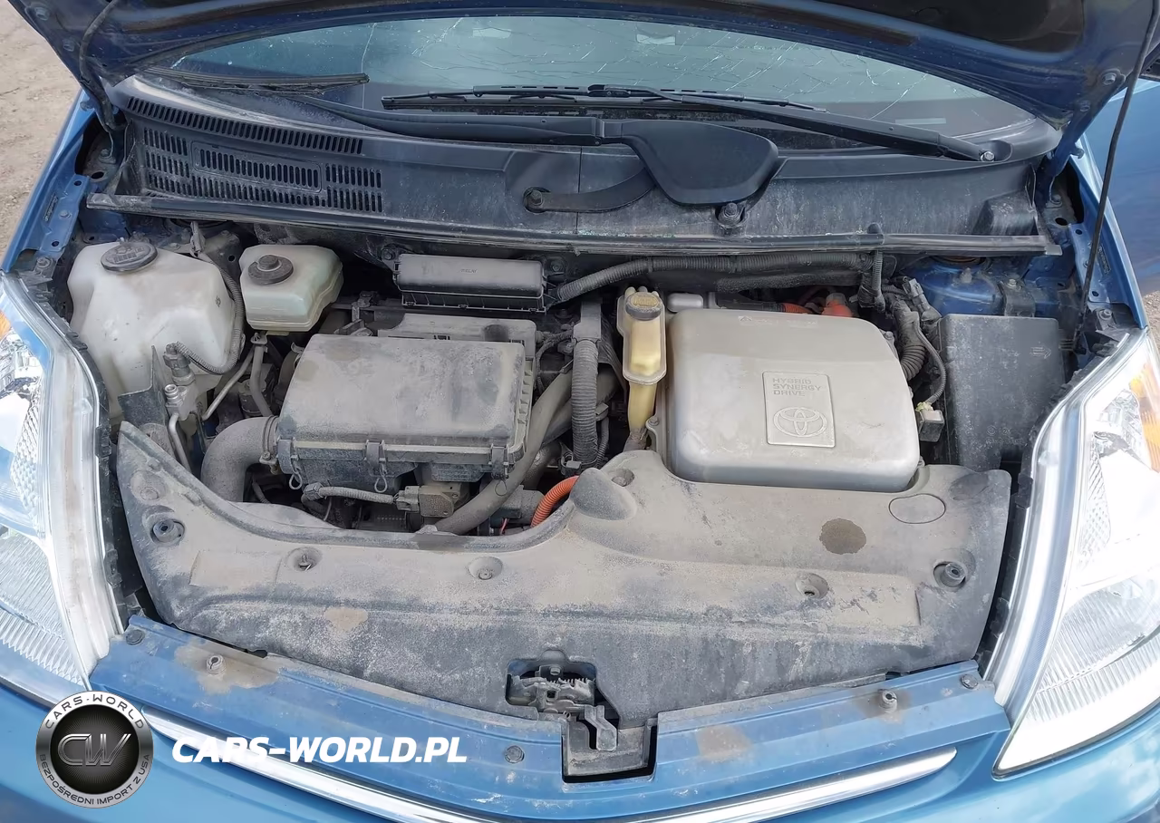 2008 Toyota Prius VIN:JTDKB20U487769766 - 10