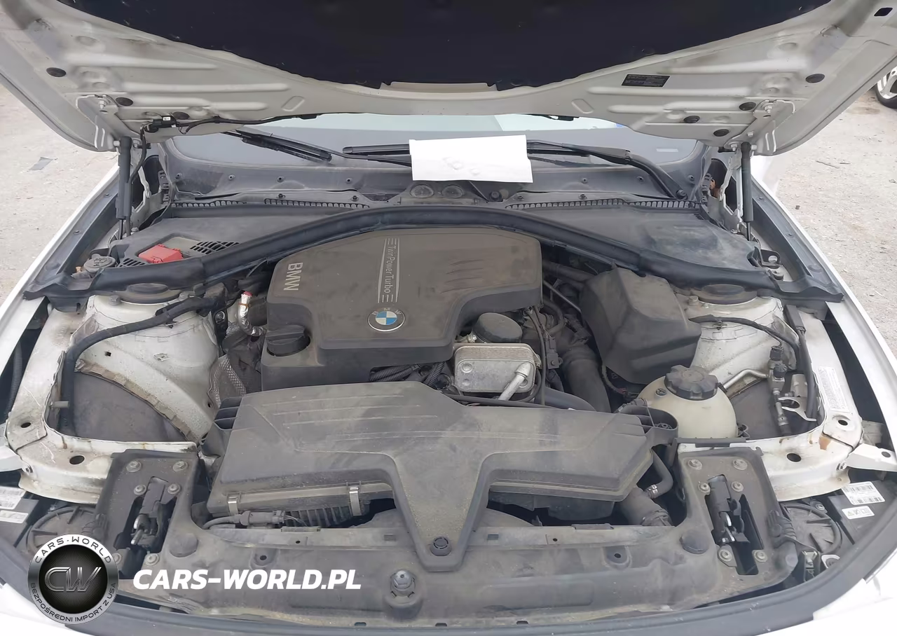 2014 BMW 428I xDrive VIN:WBA3N9C54EF722292 - 10