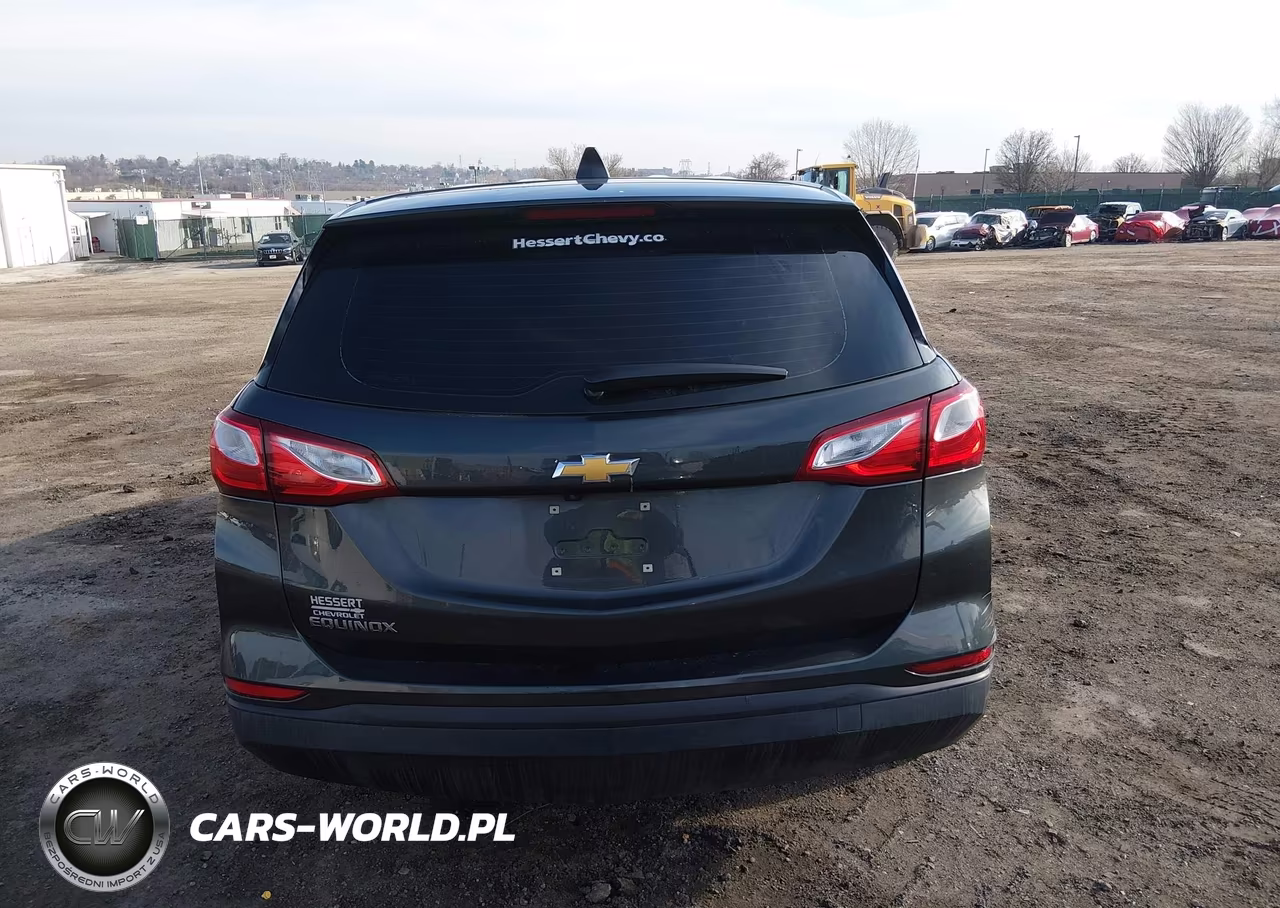 2019 Chevrolet Equinox Ls VIN:3GNAXHEV0KS599665 - 17