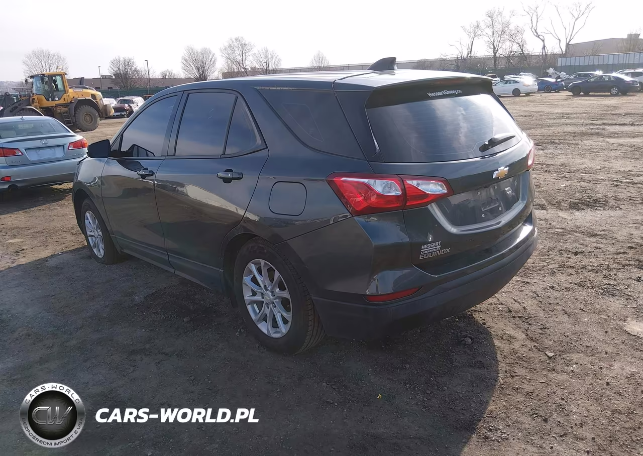 2019 Chevrolet Equinox Ls VIN:3GNAXHEV0KS599665 - 3