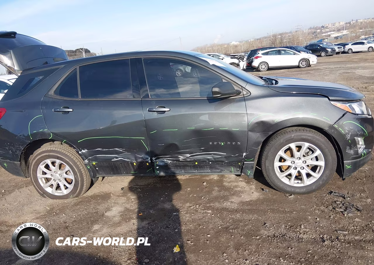 2019 Chevrolet Equinox Ls VIN:3GNAXHEV0KS599665 - 6