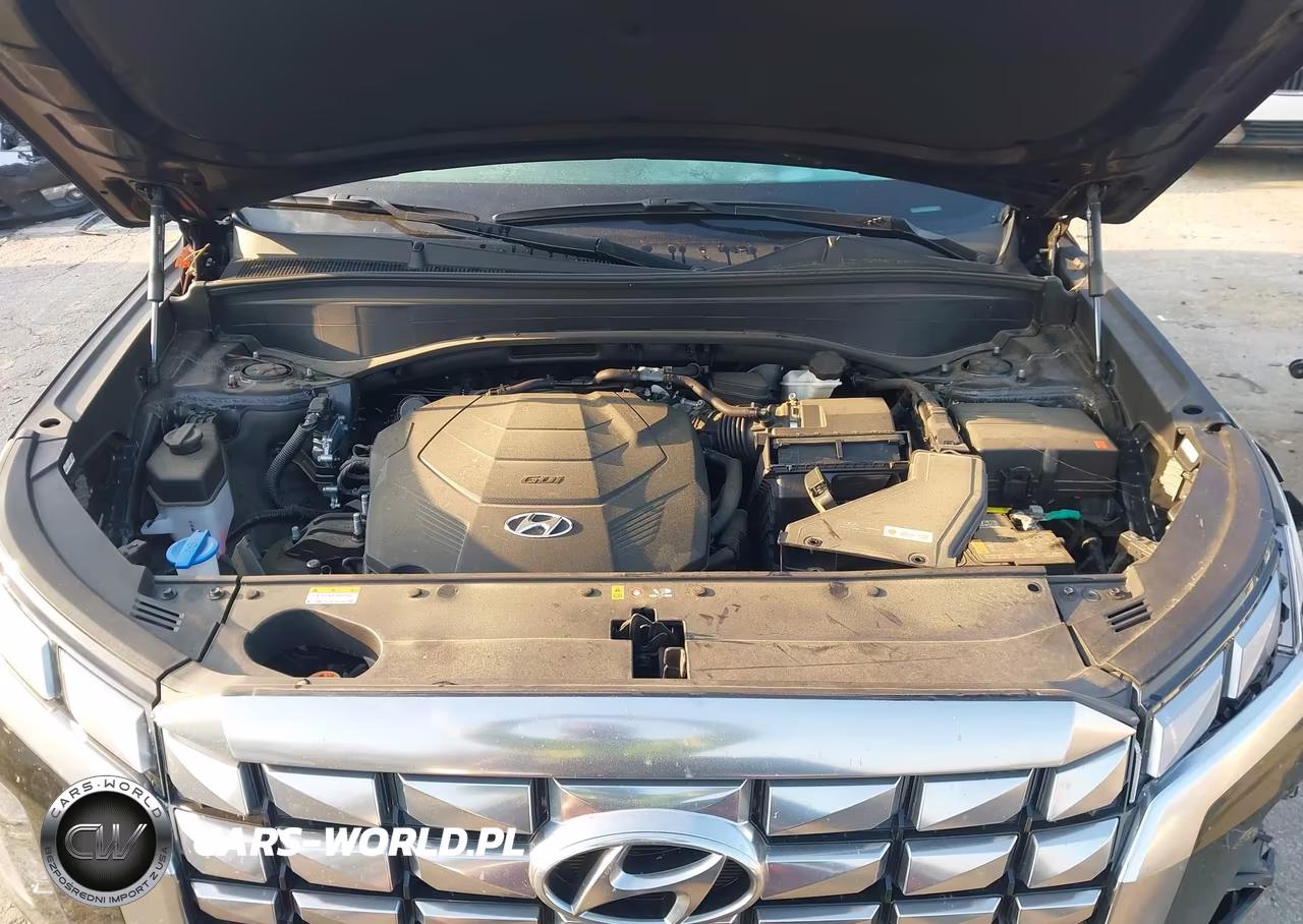 2024 Hyundai Palisade Calligraphy VIN:KM8R7DGE0RU698591 - 10