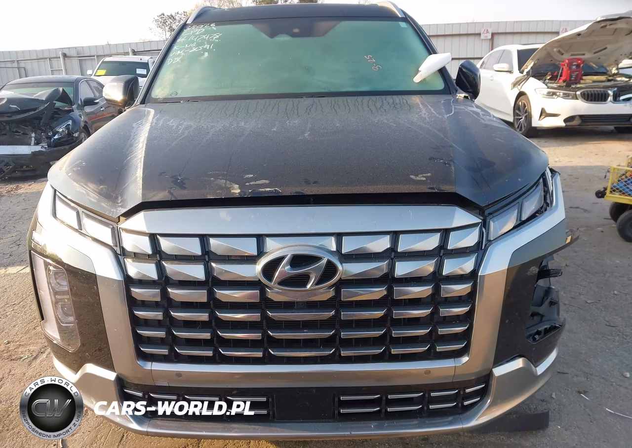 2024 Hyundai Palisade Calligraphy VIN:KM8R7DGE0RU698591 - 11