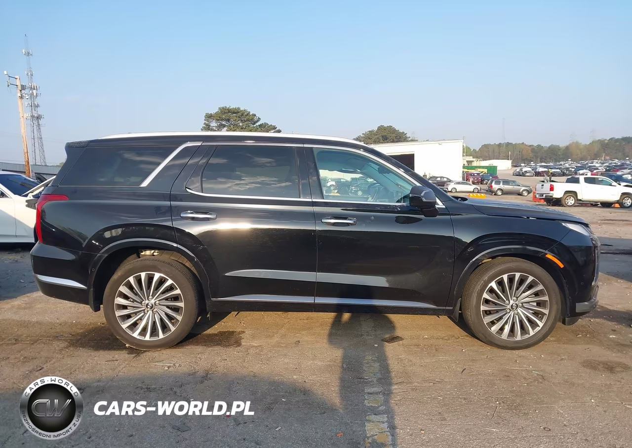 2024 Hyundai Palisade Calligraphy VIN:KM8R7DGE0RU698591 - 12