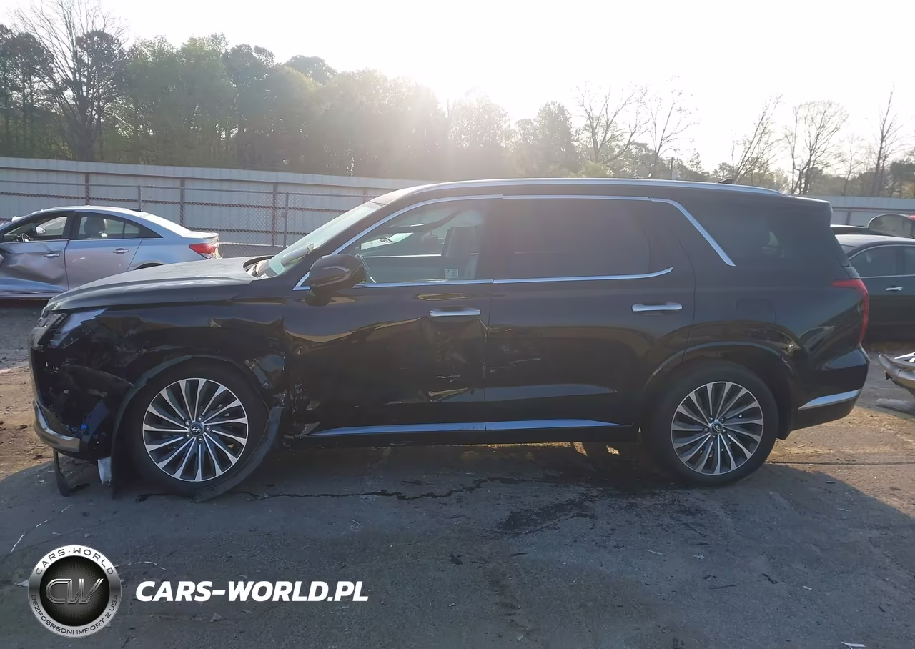 2024 Hyundai Palisade Calligraphy VIN:KM8R7DGE0RU698591 - 13