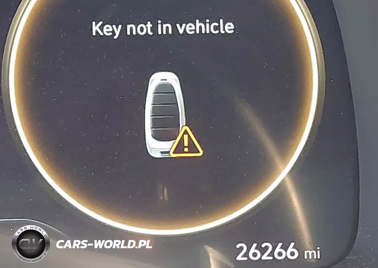 2024 Hyundai Palisade Calligraphy VIN:KM8R7DGE0RU698591 - 14