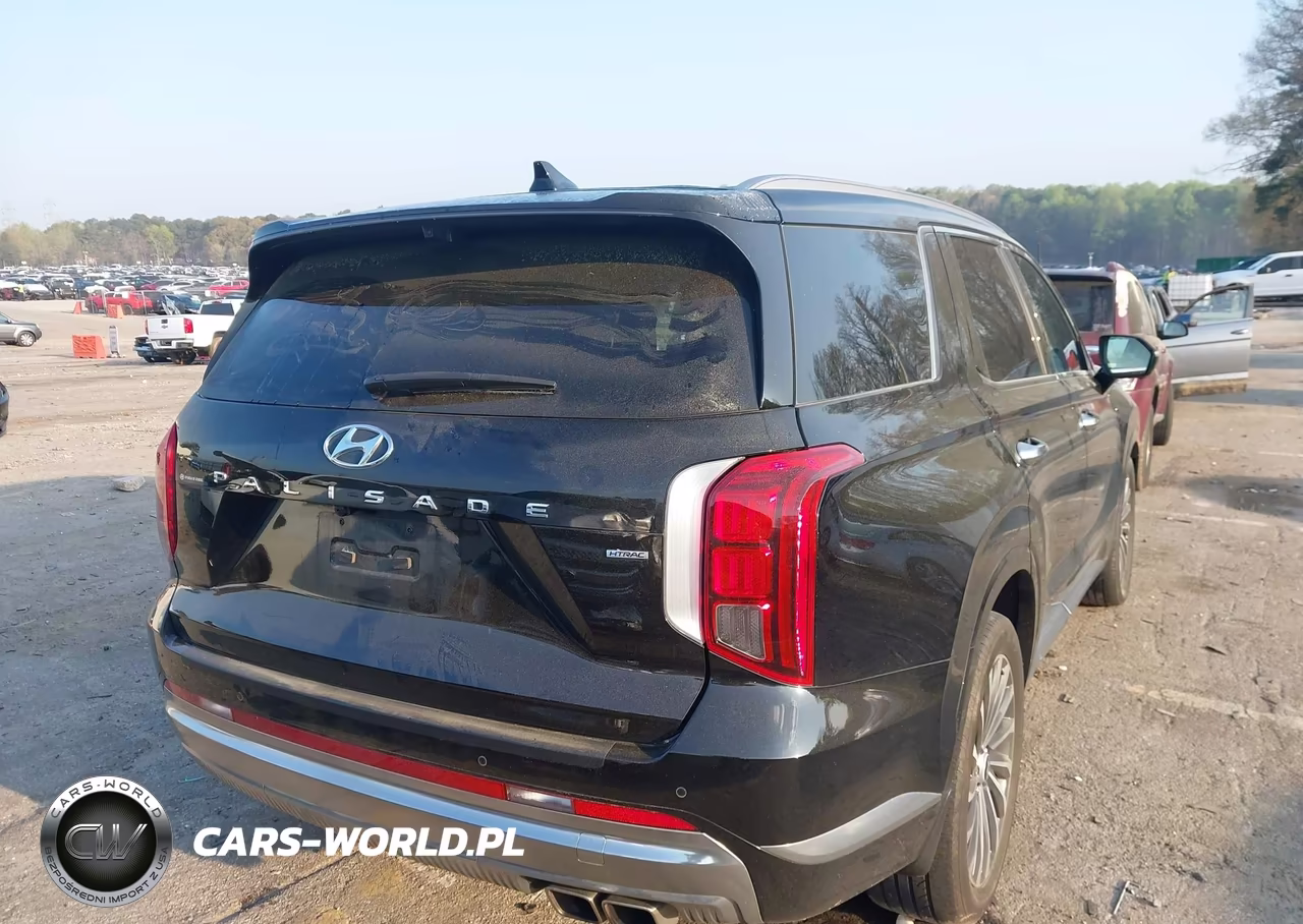 2024 Hyundai Palisade Calligraphy VIN:KM8R7DGE0RU698591 - 4