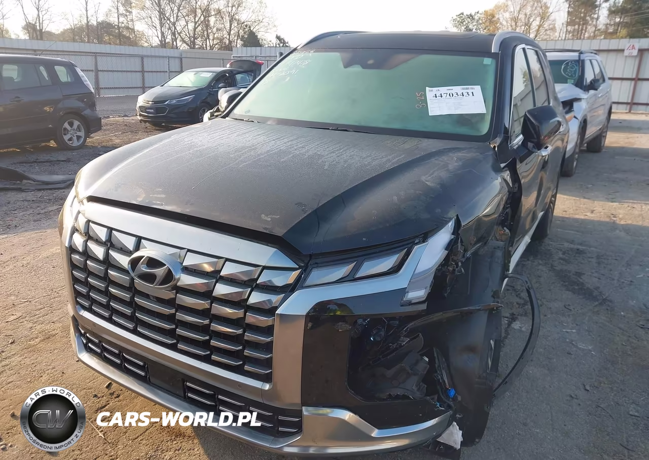 2024 Hyundai Palisade Calligraphy VIN:KM8R7DGE0RU698591 - 6