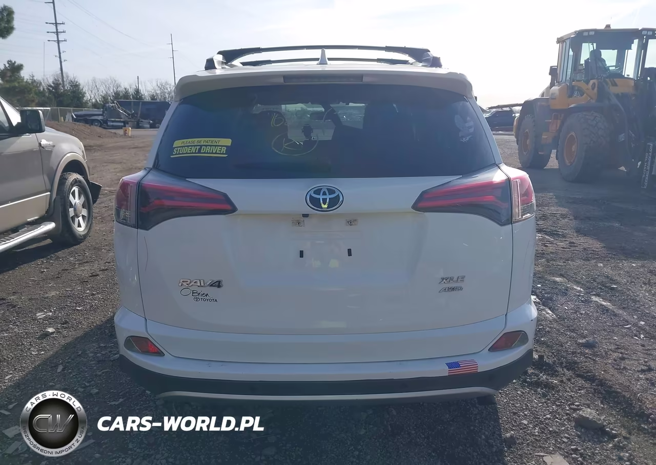 2016 Toyota Rav4 Xle VIN:JTMRFREV9GJ102951 - 17
