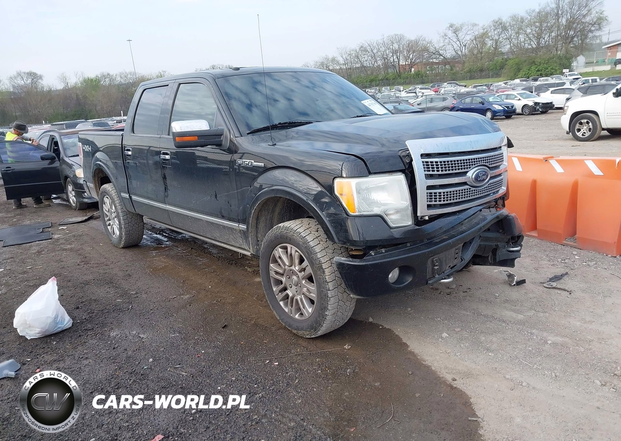 2009 Ford F-150 Fx4-King Ranch-Lariat-Platinum-Xl-Xlt