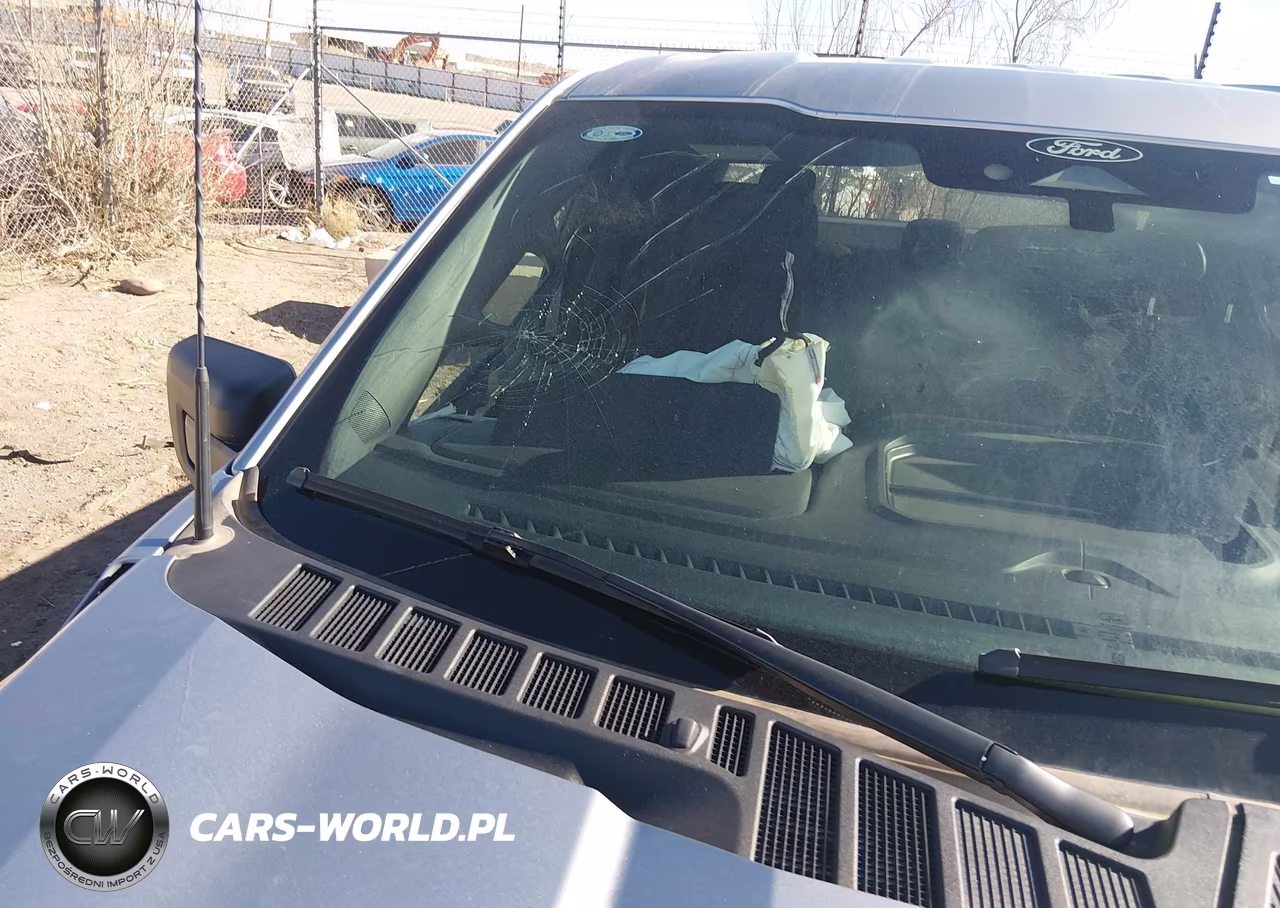 2024 Ford F-150 Stx VIN:1FTEW2LP1RKD85126 - 19