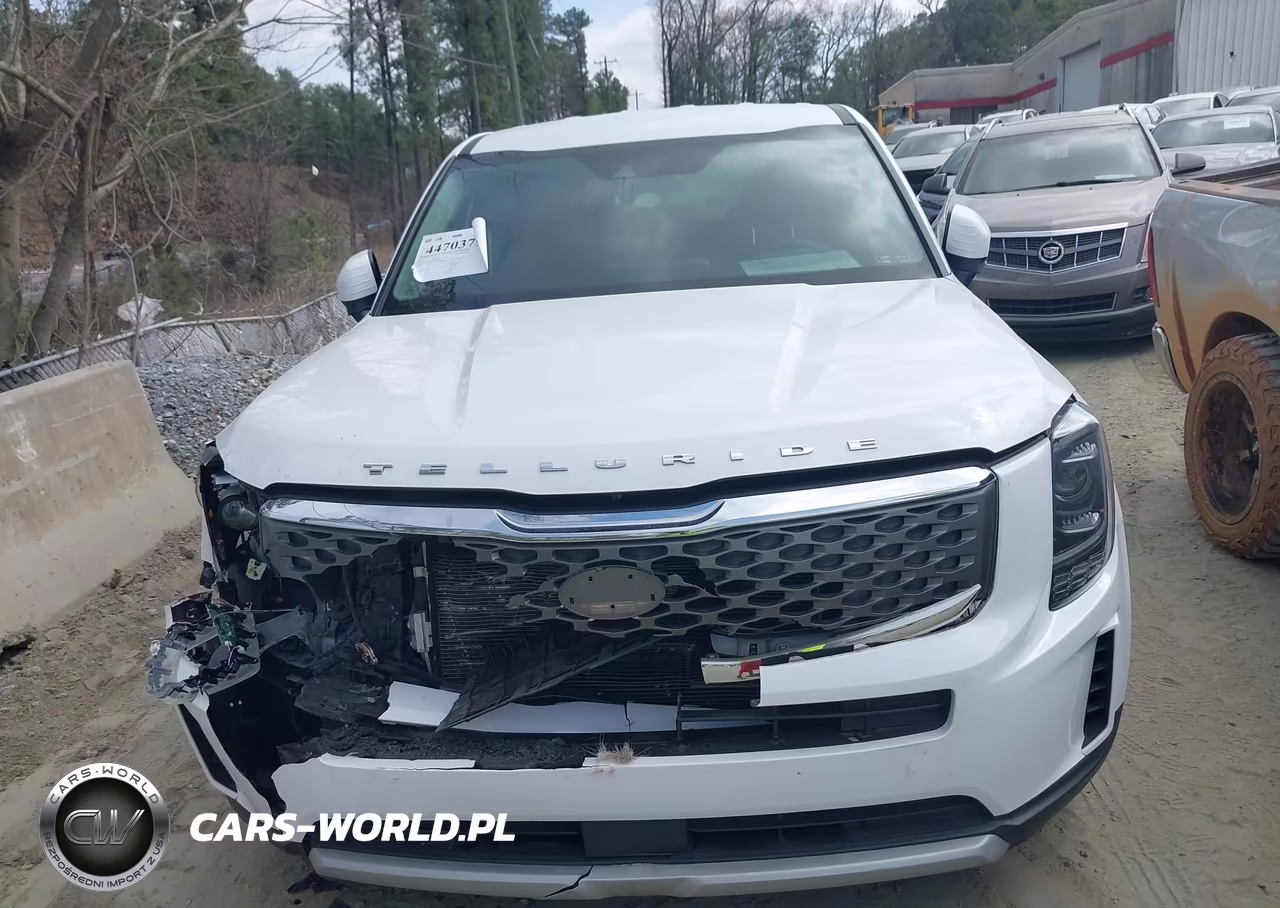 2021 Kia Telluride Lx VIN:5XYP2DHC5MG183457 - 12