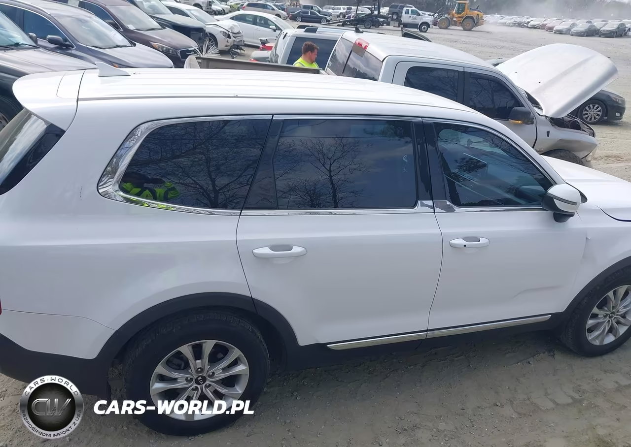 2021 Kia Telluride Lx VIN:5XYP2DHC5MG183457 - 13