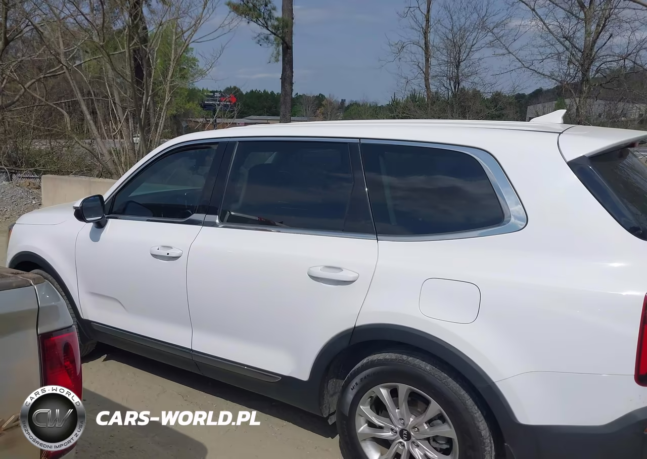 2021 Kia Telluride Lx VIN:5XYP2DHC5MG183457 - 14