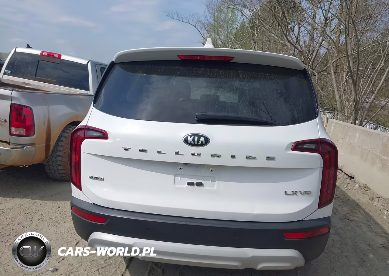 2021 Kia Telluride Lx VIN:5XYP2DHC5MG183457 - 16