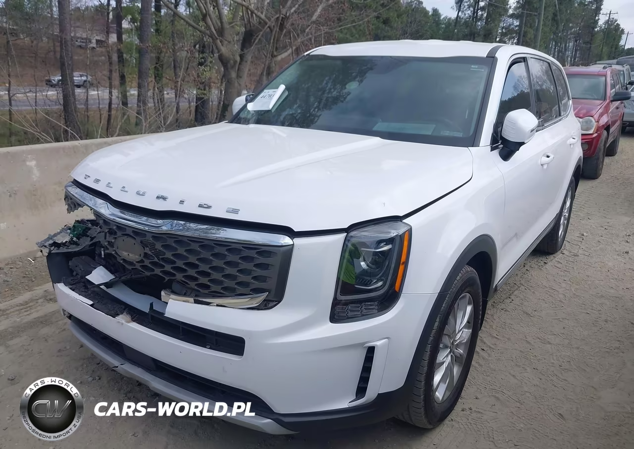 2021 Kia Telluride Lx VIN:5XYP2DHC5MG183457 - 2