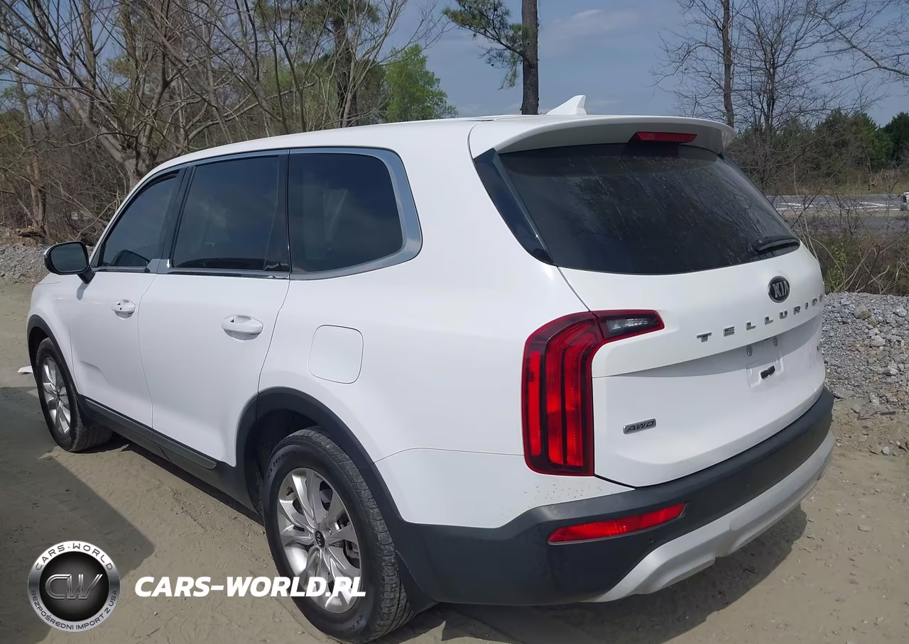 2021 Kia Telluride Lx VIN:5XYP2DHC5MG183457 - 3