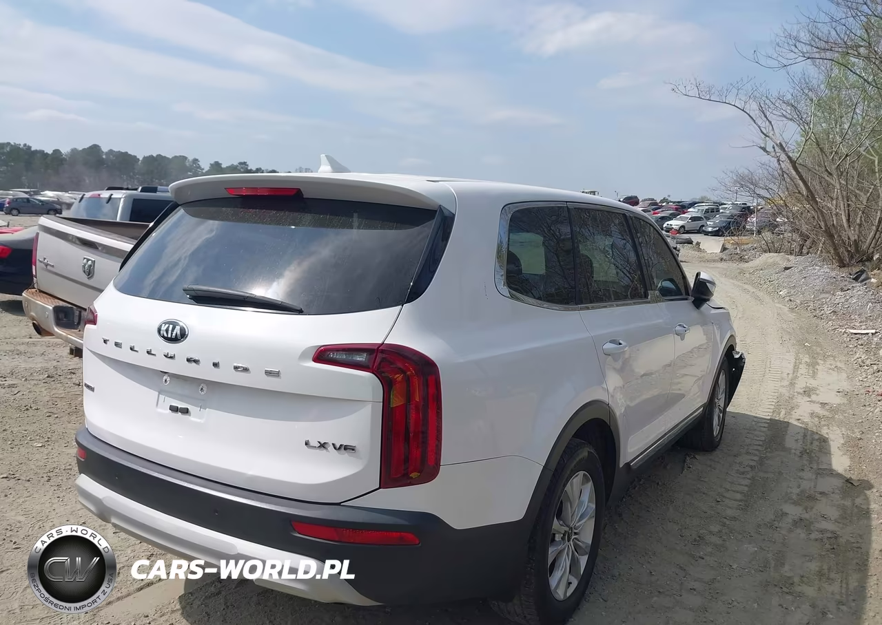 2021 Kia Telluride Lx VIN:5XYP2DHC5MG183457 - 4